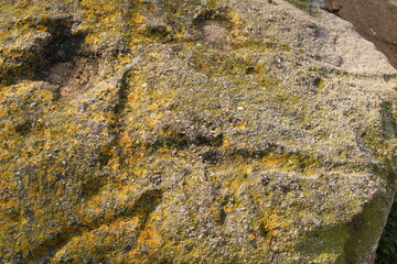 Texture and structure of stone and concrete. Natural background.