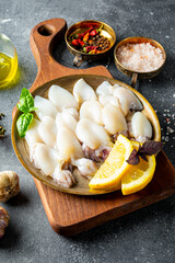 Raw mini cuttlefish on the plate and garlic, olive oil and lemon vertical photo