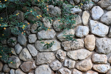 Texture and structure of stone and concrete. Natural background.