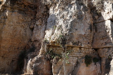 Texture and structure of stone and concrete. Natural background.