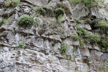 Texture and structure of stone and concrete. Natural background.
