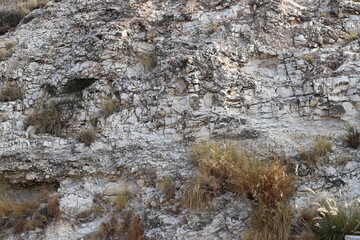 Texture and structure of stone and concrete. Natural background.