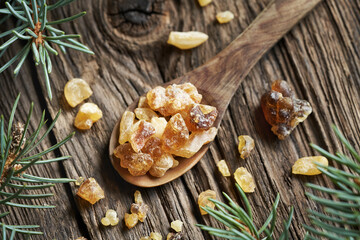 Frankincense resin on a wooden spoon at Christmas. Ingredient for essential oils.