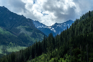 Mountains in Breathtaking Contrast