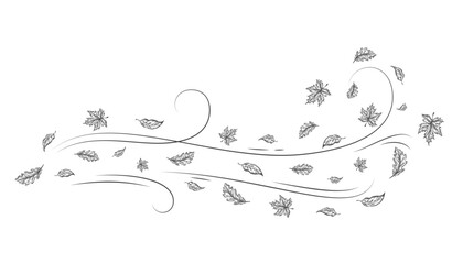 Autumn Leaves Outline Sketch Blown by a Cold Gust of Wind. Hand Drawn Oak and Maple Leaf Carried During Windy Weather. Vector Line Doodle Illustration Isolated