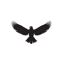 Obraz premium Hawk in cartoon, doodle style . Image for t-shirt, web, mobile apps and ui. Isolated 2d vector illustration in logo, icon, sketch style, Eps 10, black and white. AI Generative