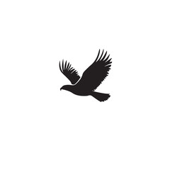 Obraz premium Hawk in cartoon, doodle style . Image for t-shirt, web, mobile apps and ui. Isolated 2d vector illustration in logo, icon, sketch style, Eps 10, black and white. AI Generative