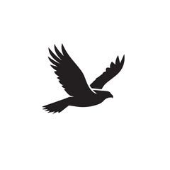 Fototapeta premium Hawk in cartoon, doodle style . Image for t-shirt, web, mobile apps and ui. Isolated 2d vector illustration in logo, icon, sketch style, Eps 10, black and white. AI Generative