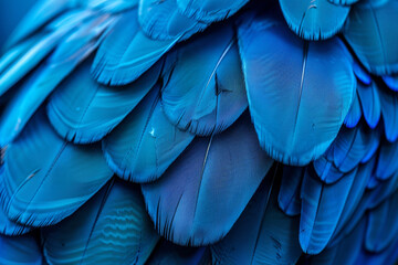 Obraz premium A close up of a bird's feathers, with the blue color being the dominant feature