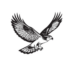 Obraz premium Hawk in cartoon, doodle style . Image for t-shirt, web, mobile apps and ui. Isolated 2d vector illustration in logo, icon, sketch style, Eps 10, black and white. AI Generative