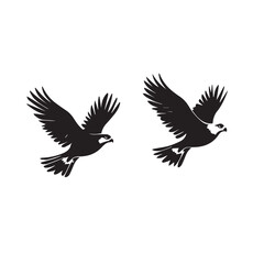 Obraz premium Hawk in cartoon, doodle style . Image for t-shirt, web, mobile apps and ui. Isolated 2d vector illustration in logo, icon, sketch style, Eps 10, black and white. AI Generative