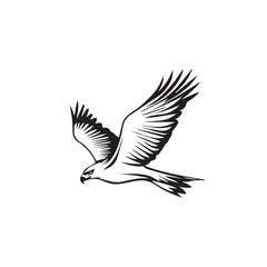 Fototapeta premium Hawk in cartoon, doodle style . Image for t-shirt, web, mobile apps and ui. Isolated 2d vector illustration in logo, icon, sketch style, Eps 10, black and white. AI Generative