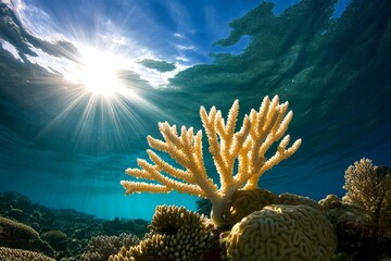 Calming coral reef gently swaying with the ocean&acirc;&euro;&trade;s current, providing a serene underwater scene