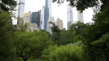 New York City Manhattan Midtown. Central park on 5th Fifth 5 avenue, USA. American landmark, urban public park in NYC, United States. Skyscraper buildings architecture, 59 street skyline. Green trees.