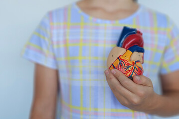 A child holds a colorful model of a human heart in a light checkered shirt while standing against a plain background