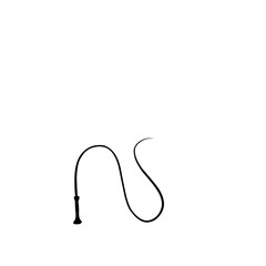 silhouette whip icon