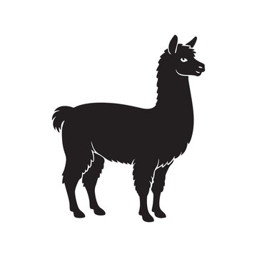 alpaca silhouette vector, black and white silhouette, vector and illustration