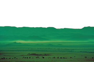 Obraz premium PNG Safari landscape livestock outdoors scenery.