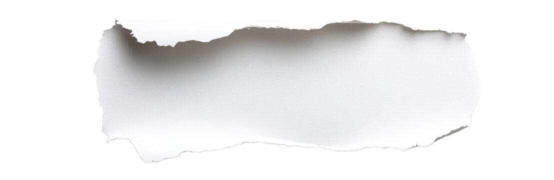 Single Piece of Paper with a Torn Edge, Isolated PNG with Transparent Background