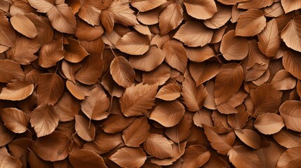 A close up of brown leaves on a surface. The leaves are scattered and overlapping, creating a sense of depth and texture. The image evokes a feeling of autumn, with the leaves falling from trees