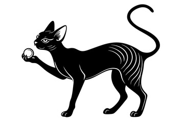 playing black cat silhouette