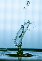 Wassertropfen, Tropfenfotografie, Flüssigkeit, Nahaufnahme, Makrofotografie, Regentropfen,...