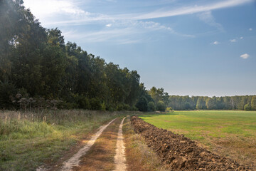 A dirt road runs through a field with trees in the background