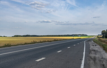 Fototapeta premium A long, empty road with a few trees in the background
