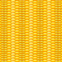 Fototapeta premium Pattern of corn kernels.Vector seamless pattern of corn kernels on a colored background.