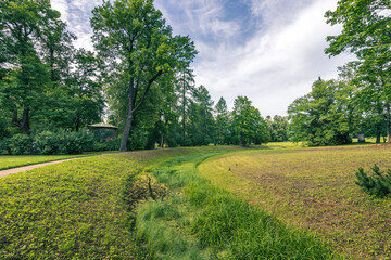 A lush green field with a path running through it