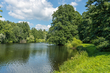 A calm lake with trees in the background