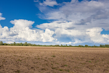 A field of dirt with a few trees in the background