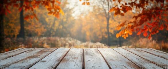 The Wooden Table in Autumn