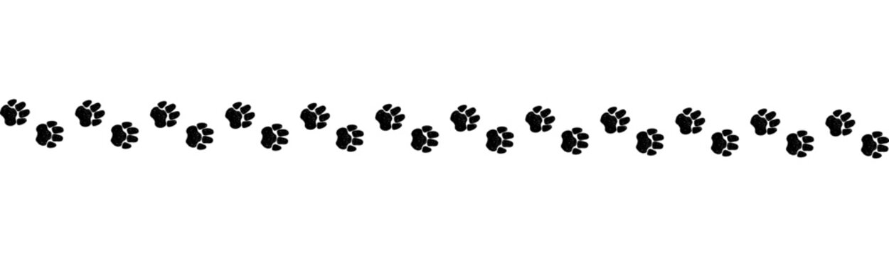 A path of paw prints of pets, dog or cat drawn in grunge style. Vector illustration drawn with chalk or charcoal on white background.