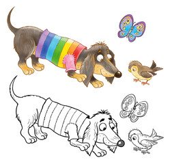 Seven colors of rainbow. A cute funny dog is wearing a sweater of rainbow colors. Illustration for children. Cute and funny cartoon characters