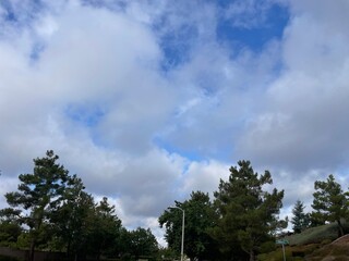 Obraz premium Being one with nature on a chilly, peaceful morning