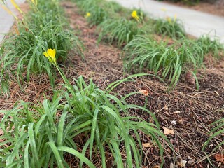 Being one with nature on a chilly, peaceful morning