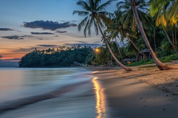 Tropical beach at dusk with palm trees and calm waves reflecting light