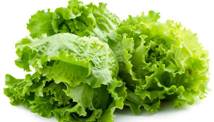 Fresh green iceberg lettuce isolated on white