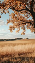 Fototapeta premium Golden autumn days in a peaceful rural landscape at sunset