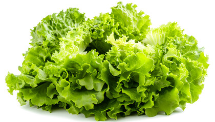 Fresh green iceberg lettuce isolated on white