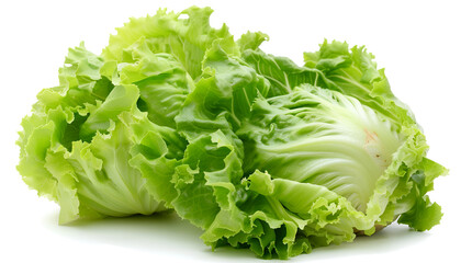 Fresh green iceberg lettuce isolated on white