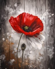 red poppy flower