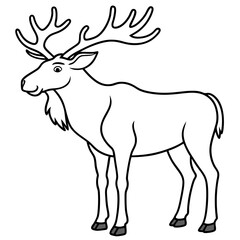 Moose standing tall with large, sprawling antlers and a calm stance vector