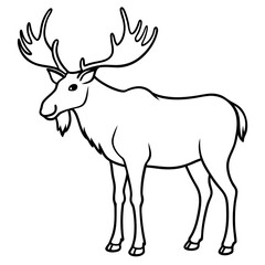 Moose standing tall with large, sprawling antlers and a calm stance vector