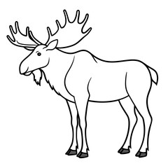 Moose standing tall with large, sprawling antlers and a calm stance vector
