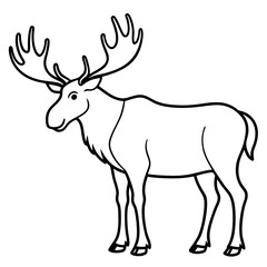 Moose standing tall with large, sprawling antlers and a calm stance vector