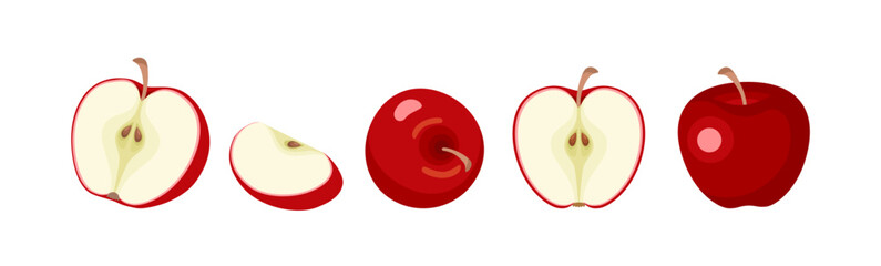 Apple set. Red apple fruits whole, half and slice. Vector cartoon flat illustration. Fresh fruits icon. 