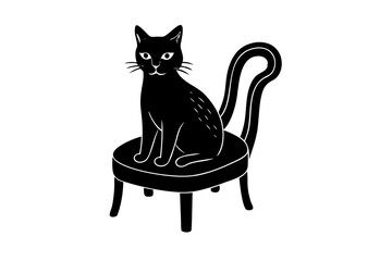 black cat sitting on a chair