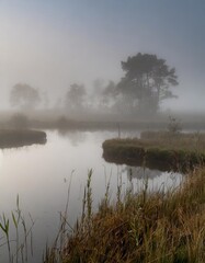 Fototapeta premium Foggy Morning Over Serene Marshlands, Reflecting the Mystique of Nature